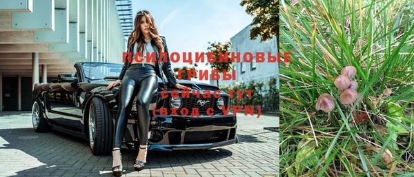 трава Слюдянка